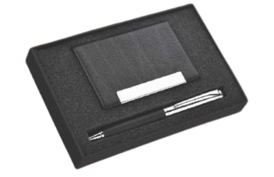 Plata 2 In 1 Gift Set (Pen & Card Holder)