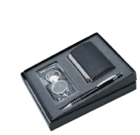 3 In 1 Gift Set (Pen, Round Keychain & Card Holder)