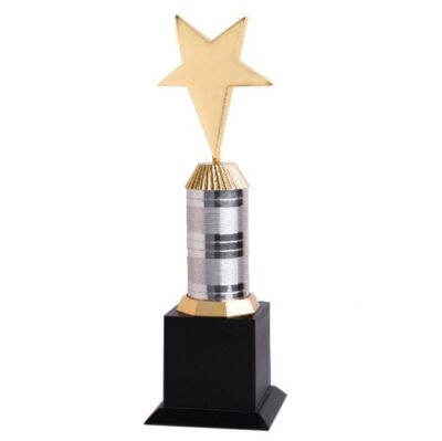 Star Metal Trophy